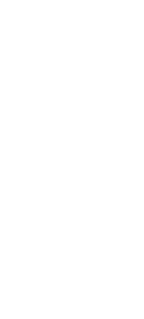 Watermark