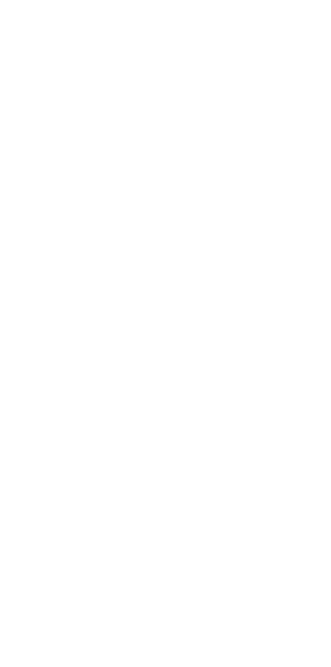 Watermark